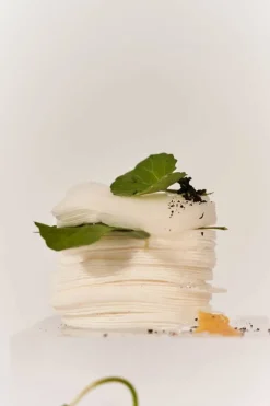 Centella 3% PHA Gentle Liquid Exfoliating Serum 120ml