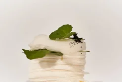 Centella 3% PHA Gentle Liquid Exfoliating Serum 120ml