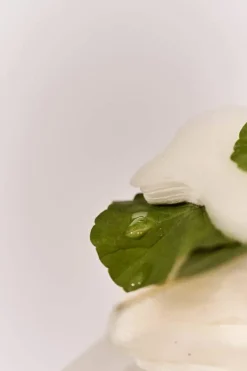 Centella 3% PHA Gentle Liquid Exfoliating Serum 120ml