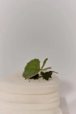 Centella 3% PHA Gentle Liquid Exfoliating Serum 120ml