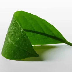 ck One Essence Eau de Parfum 50ml