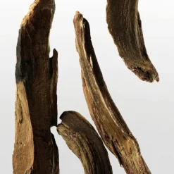 ck One Essence Eau de Parfum 100ml