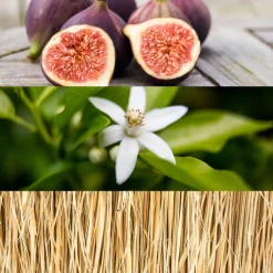 Ck One Gold Eau De Toilette 100ml