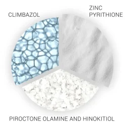 Classic Clear Scalp Shampoo 250ml