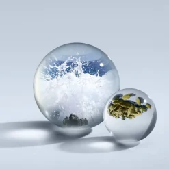 Coastal Cypress & Sea Fennel Eau de Parfum 100ml