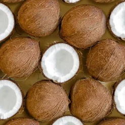 Coconut Body Oil 148ml