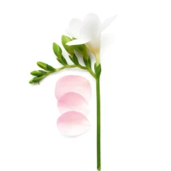 Code Deodorant Stick 75g