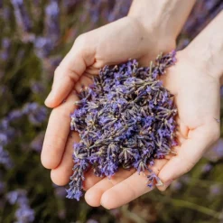 Code Eau De Toilette 50ml