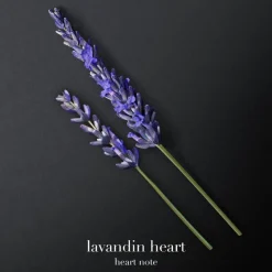 Code Eau De Toilette 75ml