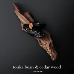 Code Eau De Toilette Refill 150ml