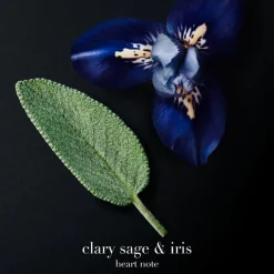 Code Parfum Refill 150ml