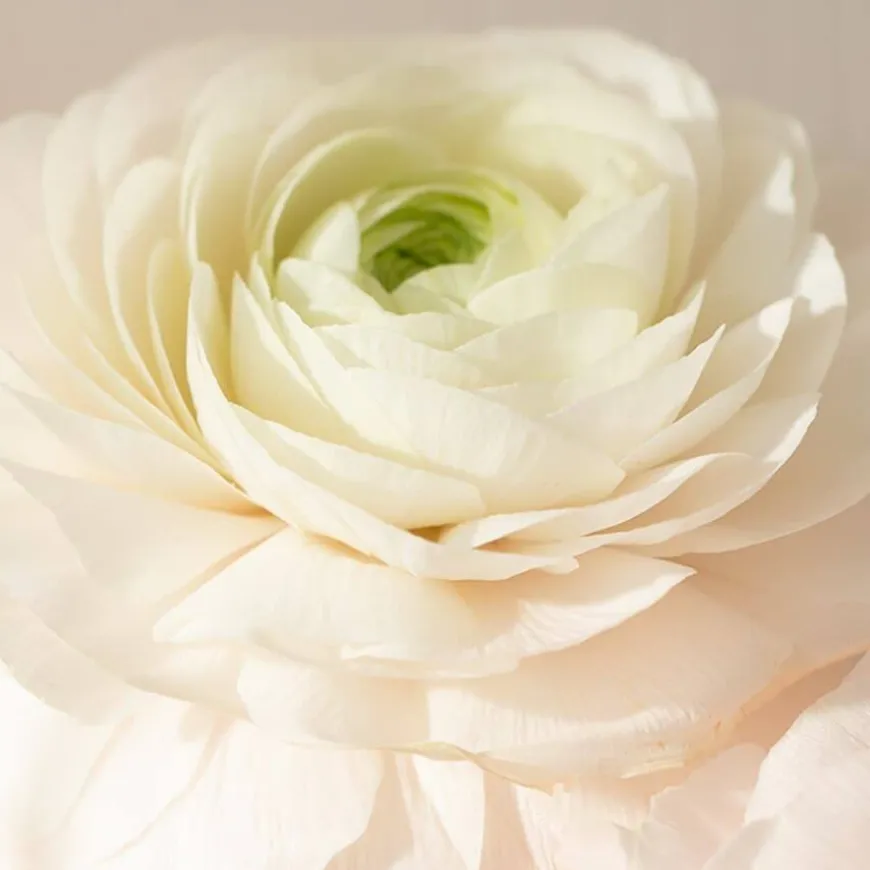 Collagen & Hyaluron Beauty Powder 360g