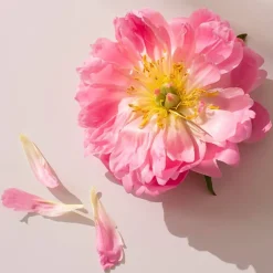 Collagen Filler One-a-Day 30 tabletter