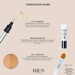 Concealer brush