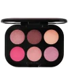 Connect In Colour Eye Shadow Palette Rose Lens 6,25g