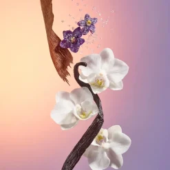 Delicia Drench Body Butter 240ml