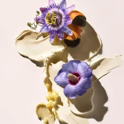 Delicia Drench Body Butter 75ml