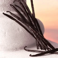 Devotion Eau de Parfum Intense 100ml