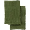 Dish Cloth Green