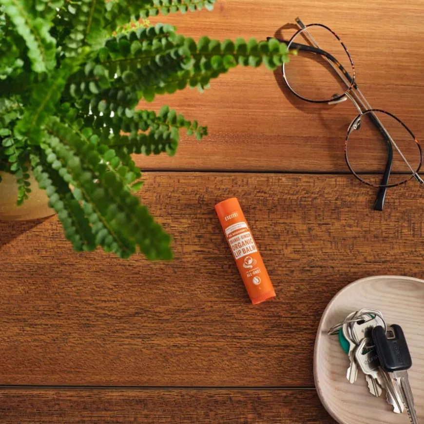 Dr. Bronner Orange Ginger Organic Lip Balm 4g
