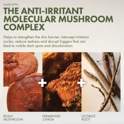 Dr. Weil Mega-Mushroom Dark Spot Corrector Serum 50ml