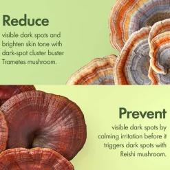 Dr. Weil Mega-Mushroom Dark Spot Correcting Brightening Serum 30ml