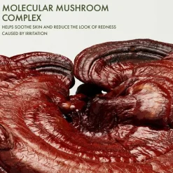 Dr. Weil Mega-Mushroom Restorative Skin Concentrate With Reishi & Centella 30ml