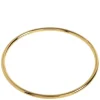 Drew Essential Bangle Stainless Steel 65mm