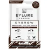 Dybrow Dye Kit Brown