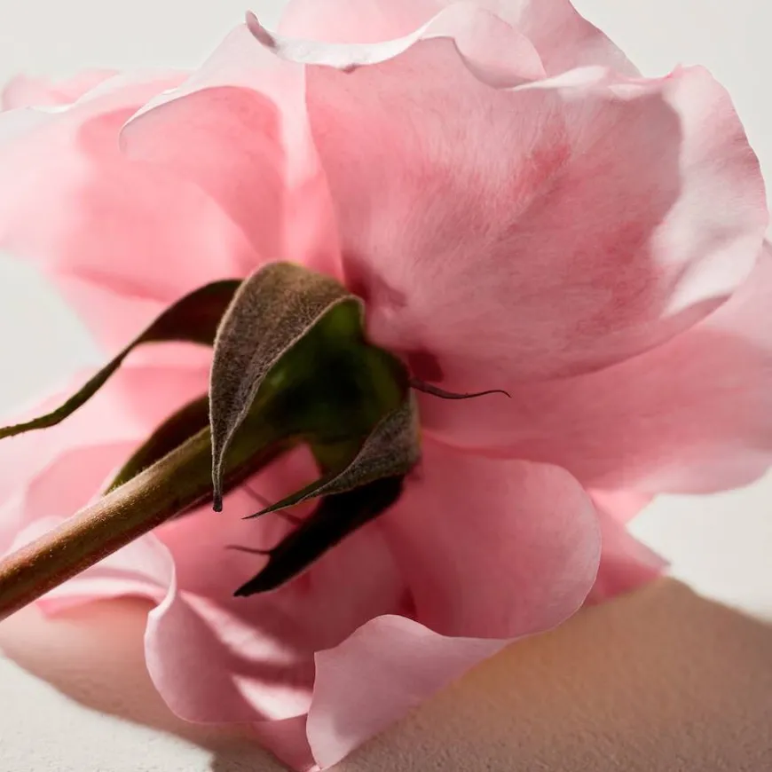 Eau De Parfum For Women 50ml