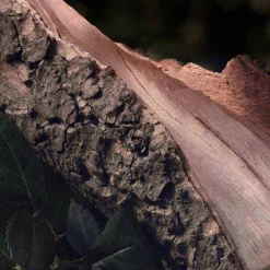 Eau De Parfum Naturelle For Women 30ml