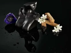 Eilish No.2 Eau De Parfum 100ml