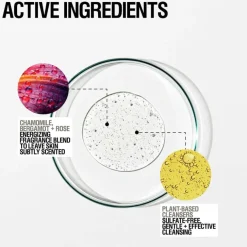 Energize Body Cleanser 500ml