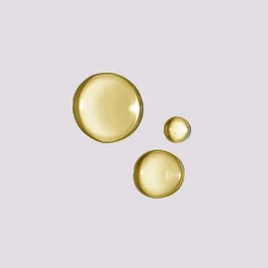 Essence Absolue Nourishing Soothing Scalp Oil Concentrate 50ml