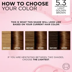 Excellence Creme 5.3 Golden Light Brown