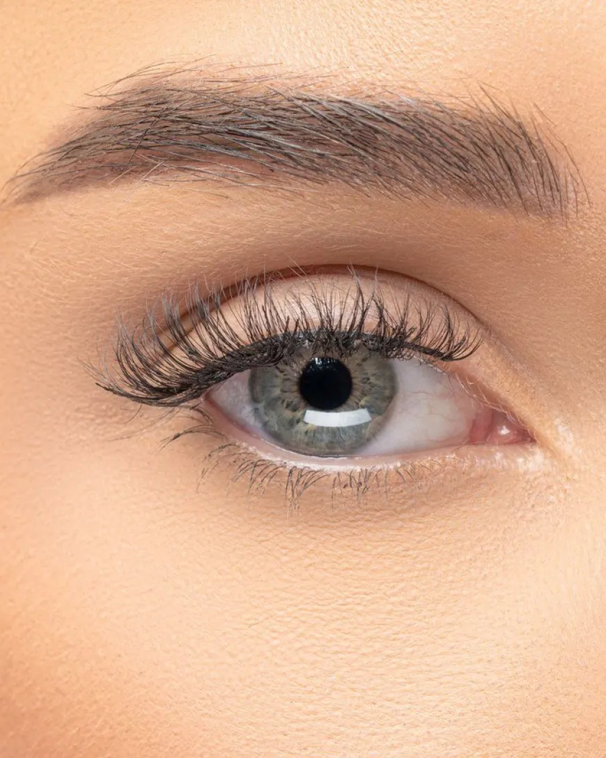 Extension Collection Classic