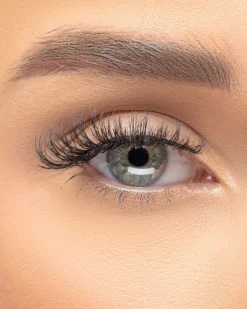 Extension Collection Hybrid