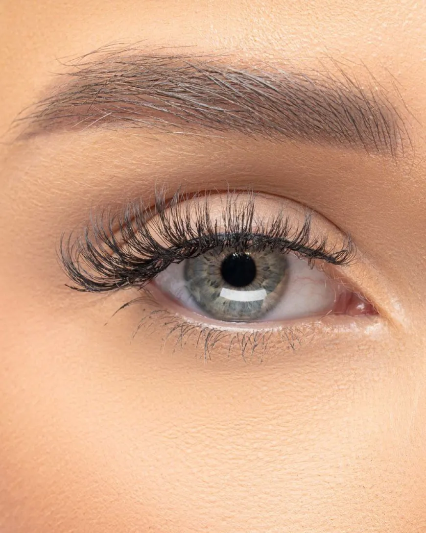 Extension Collection Hybrid