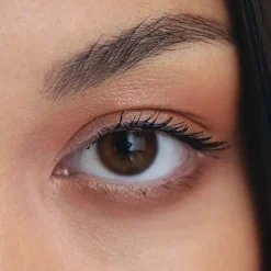 Eye Shadow Kungsljus 3g