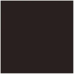 Eyebrow Cushion Sculpt & Fill Black Brown 6g