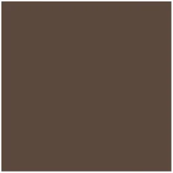 Eyebrow Cushion Sculpt & Fill Medium 6g