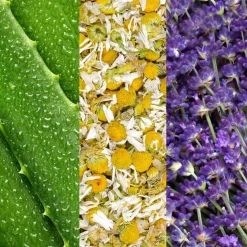 Facial Spray W/ Aloe, Chamomile & Lavender 59ml