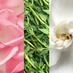 Facial Spray W/ Aloe, Herbs & Rosewater 59ml