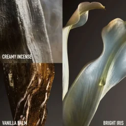 Fame Couture Limited Edition Eau De Parfum 80ml