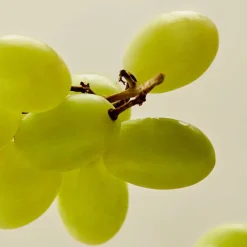 From Green Cleansing Oil 200ml