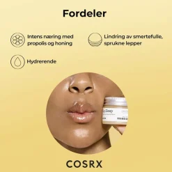 Full Fit Propolis Lip Sleeping Mask 20g