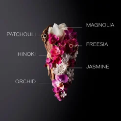 Ginza Eau De Parfum 50ml