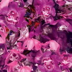 Ginza Murasaki Eau De Parfum 50ml