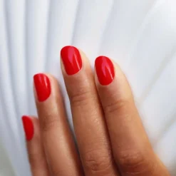 Green Flash Poppy Red Starter Kit