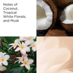 Green Tea Coconut Breeze Body Cream 500ml